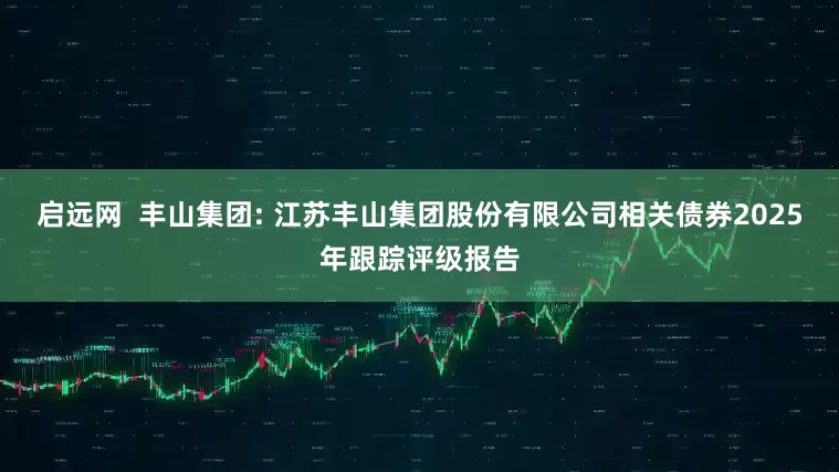 启远网  丰山集团: 江苏丰山集团股份有限公司相关债券2025年跟踪评级报告